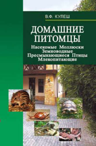 В. Ф. Кулеш. Домашние питомцы: Насекомые. Моллюски. Земноводные. Пресмыкающиеся. Птицы. Млекопитающие