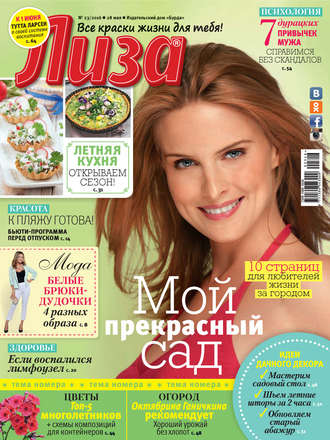 . Журнал «Лиза» №23/2016