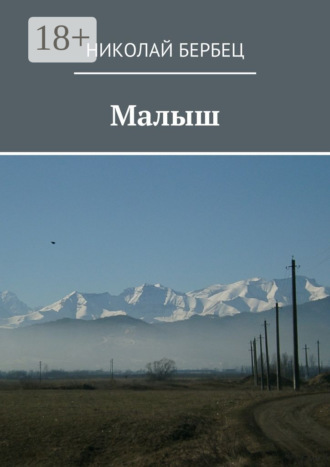 Николай Бербец. Малыш