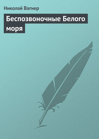 Николай Вагнер. Беспозвоночные Белого моря