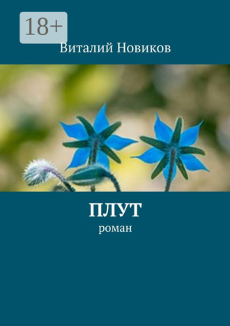 . Плут. роман