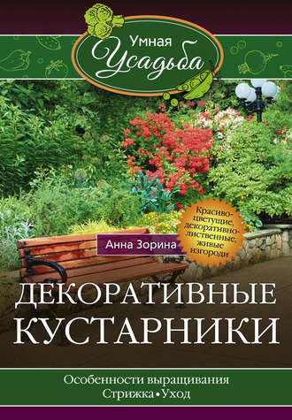 . Декоративные кустарники
