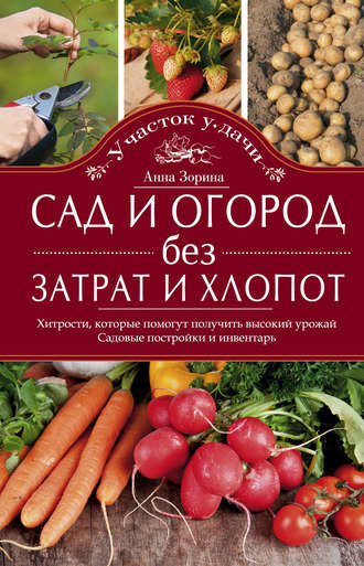 . Сад и огород без затрат и хлопот. Хитрости, которые помогут получить высокий урожай. Садовые постройки и инвентарь