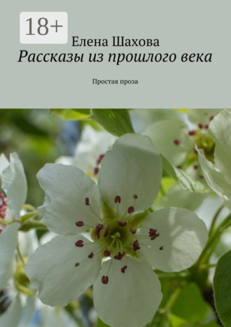 Елена Шахова. Рассказы из прошлого века. Простая проза