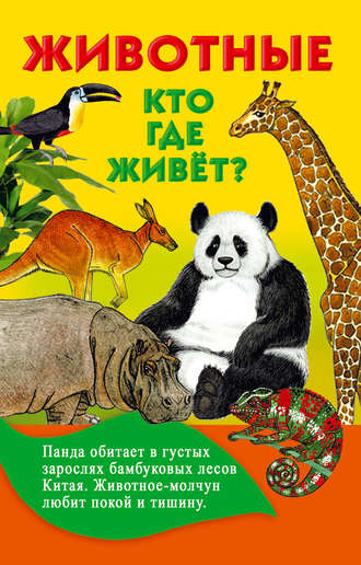 . Животные. Кто где живёт?