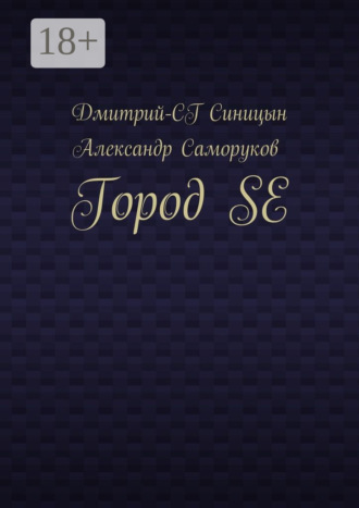 Дмитрий-СГ Синицын. Город SE