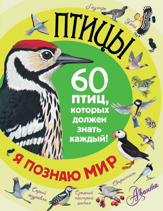 . Птицы. 60 птиц, которых должен знать каждый
