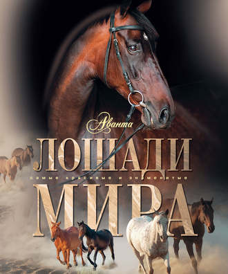 Карина Кищук. Лошади мира
