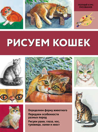 . Рисуем кошек