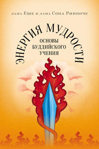 . Энергия мудрости. Основы буддийского учения