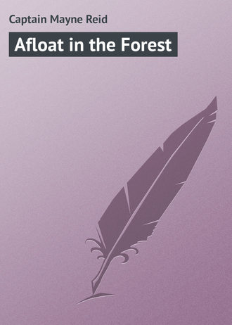 . Afloat in the Forest