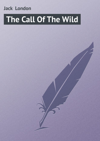. The Call Of The Wild