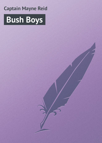 . Bush Boys