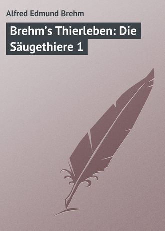 Alfred Edmund Brehm. Brehm’s Thierleben: Die Säugethiere 1