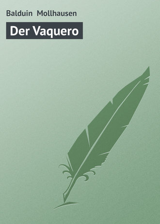 Balduin Möllhausen. Der Vaquero