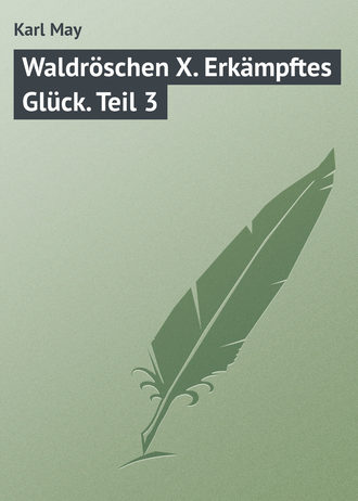 Karl May. Waldröschen X. Erkämpftes Glück. Teil 3