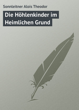 Sonnleitner Alois Theodor. Die Höhlenkinder im Heimlichen Grund