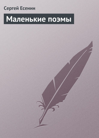 . Маленькие поэмы