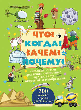 . Что? Когда? Зачем? Почему?