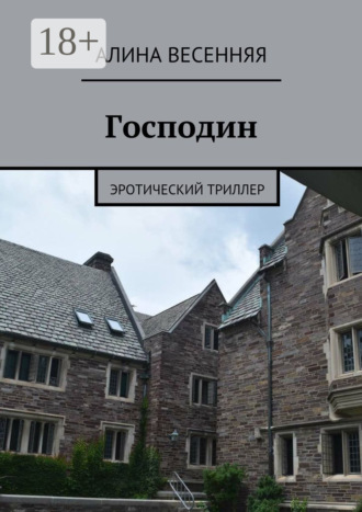. Господин. Эротический триллер