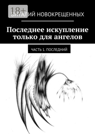 Виталий Новокрещенных. Последнее искупление только для ангелов. Часть 1. Последний