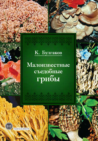 К. Г. Булгаков. Малоизвестные съедобные грибы