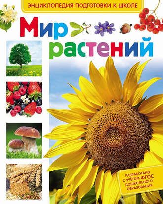 . Мир растений