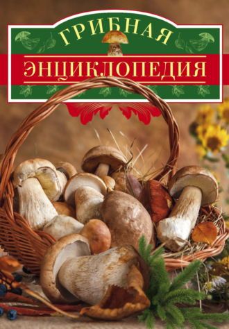 . Грибная энциклопедия