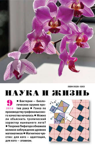 . Наука и жизнь №09/2016