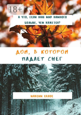 Максим Салос. Дом, в котором падает снег
