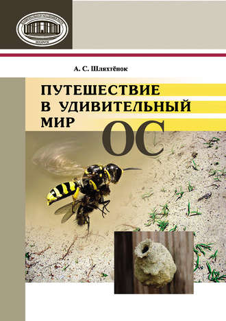 . Путешествие в удивительный мир ос