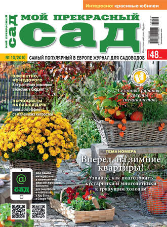 . Мой прекрасный сад №10/2016