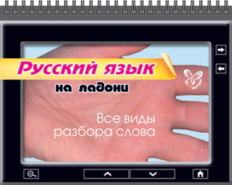 . Русский язык. Все виды разбора слова