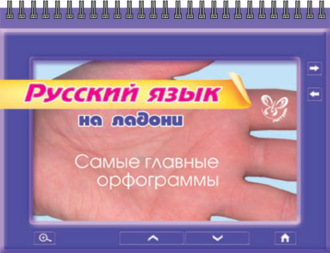. Русский язык. Самые главные орфограммы