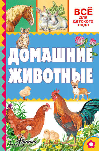 . Домашние животные