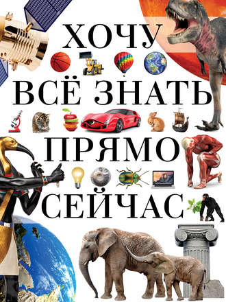 . Хочу всё знать прямо сейчас