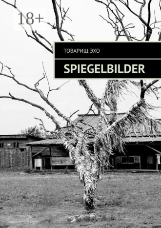 . Spiegelbilder