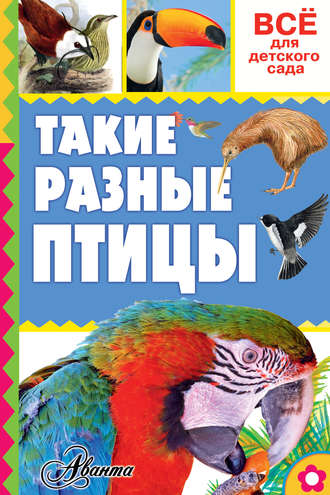 . Такие разные птицы