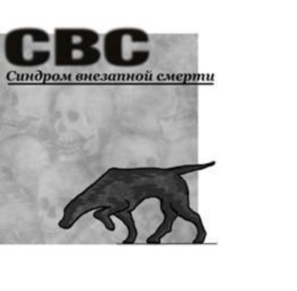 . СВС (Синдром Внезапной Смерти)