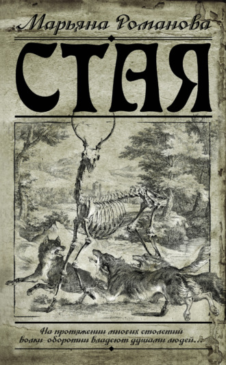 . Стая