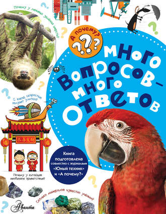 . Много вопросов – много ответов