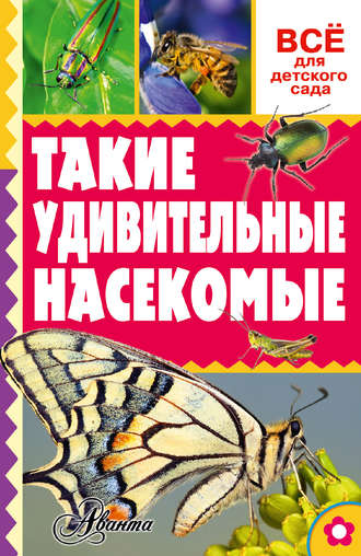 . Такие удивительные насекомые