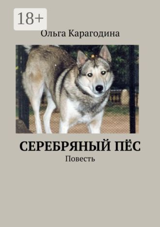 . Cеребряный пёс. Повесть