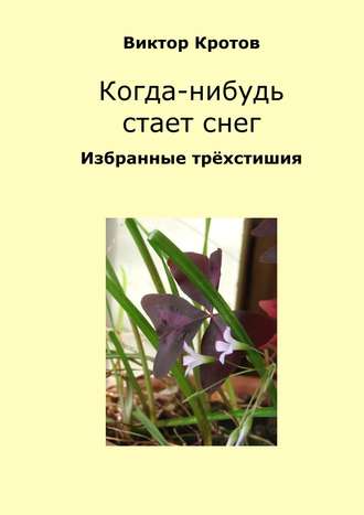 . Когда-нибудь стает снег. Избранные трёхстишия