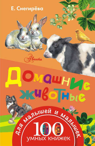 . Домашние животные