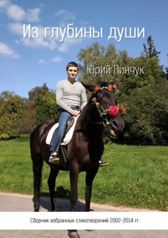 . Из глубины души. Сборник избранных стихотворений 2002-2014 гг.