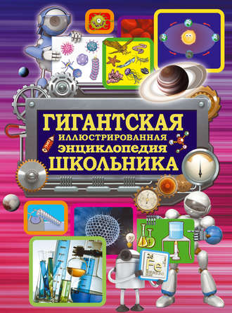 . Гигантская иллюстрированная энциклопедия школьника