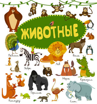 . Животные