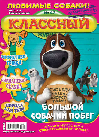 . Классный журнал №43/2016