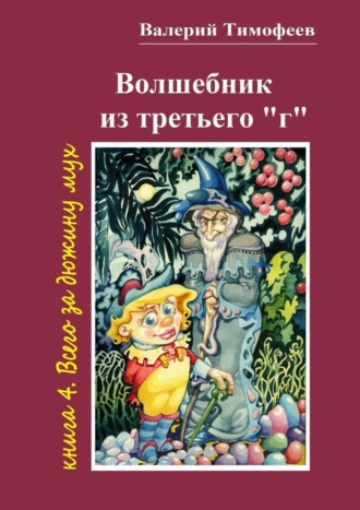 . Волшебник из третьего «г». Книга 4. Всего за дюжину мух